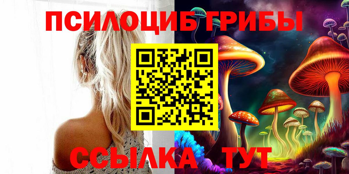 Псилоцибиновые грибы мицелий Новоалександровск