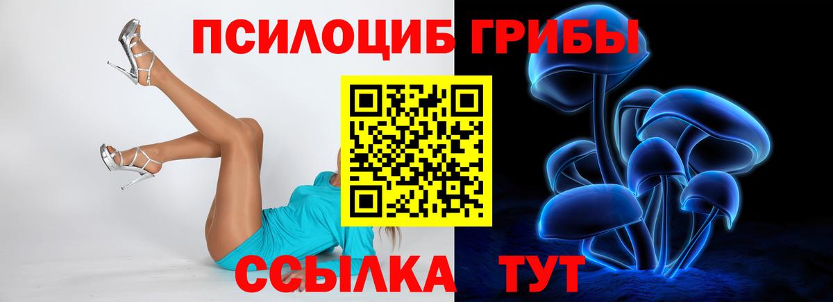где продают наркотики  Псилоцибиновые грибы мицелий  Вход с VPN  Новоалександровск  Псилоцибиновые грибы GOLDEN TEACHER 